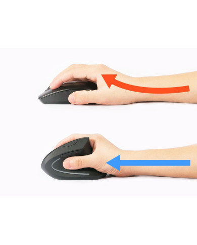 Rato Equip Ergonomic Wireless Black