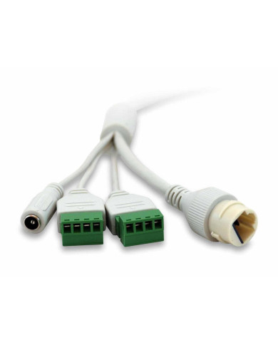 Câmara IP LevelOne FCS-3096 Gemini 8MP Interior/Exterior IR 9W PoE